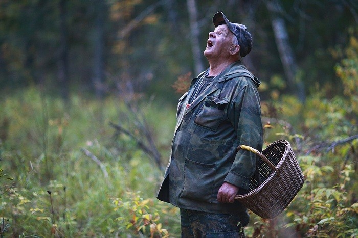 МЧС напоминает: как новомосковцам не заблудиться в лесу