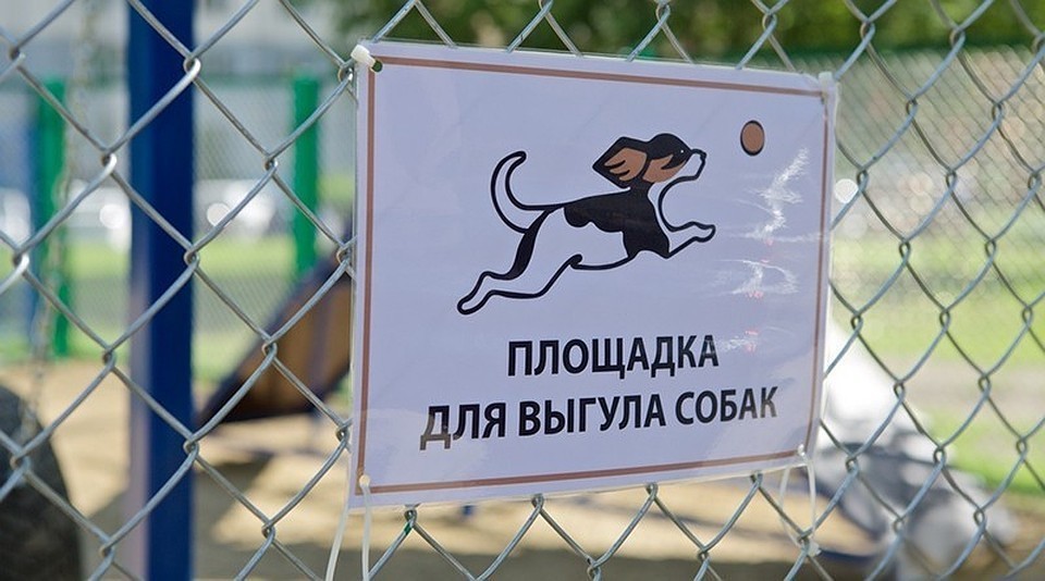 В Новомосковске появятся площадки для выгула собак 