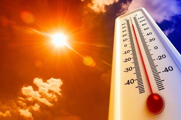 29 июля синоптики обещают сильную жару