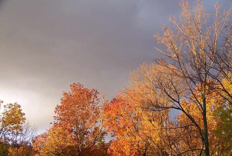 Погода в Новомосковске 11 октября: переменная облачность и до +15 градусов тепла