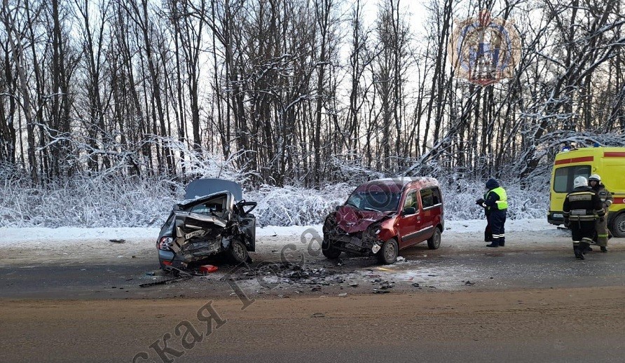 В ДТП на трассе "Тула - Новомосковск" пострадали два подростка
