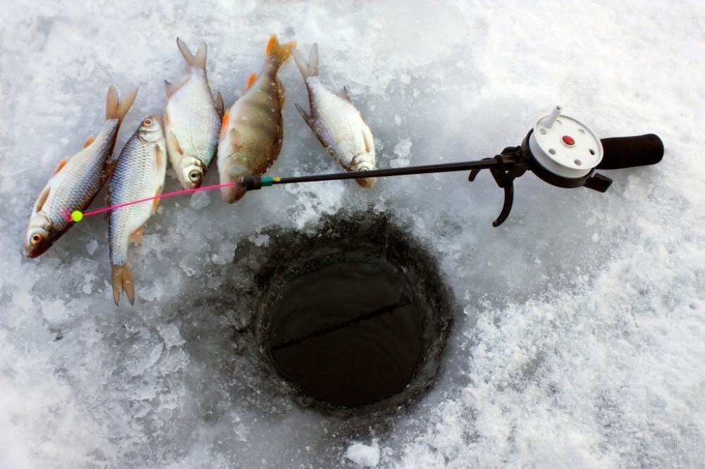 Новомосковцев приглашают на соревнования по спортивной ловле на мормышку со льда