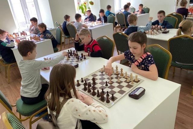 Новомосковцы вышли в финал проекта "Шахматы в школах"