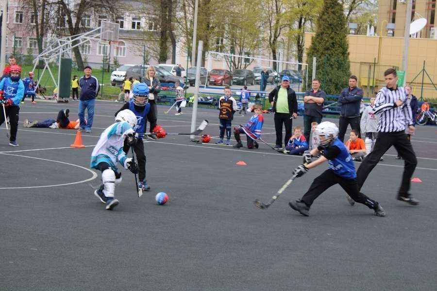 В Новомосковске проходит областной фестиваль по летнему хоккею