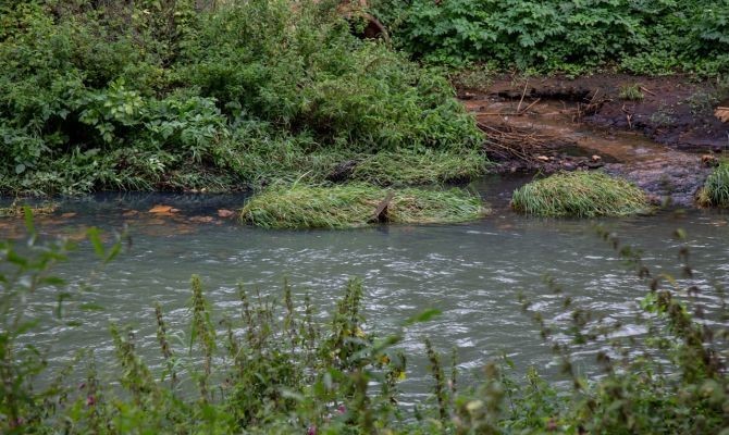 В Тульском регионе не нашли ни одной чистой реки