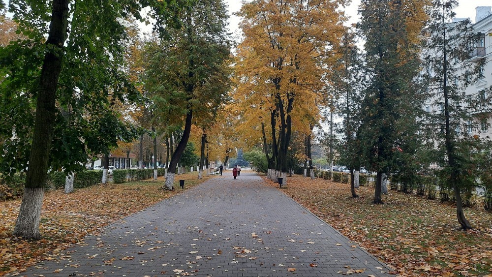 Погода в Новомосковске 3 ноября: переменная облачность и до 2 градусов тепла