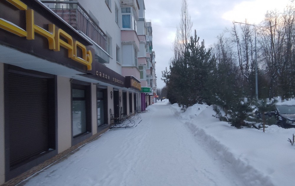 Погода в Новомосковске 17 января: днем до - 5 градусов и порывистый ветер