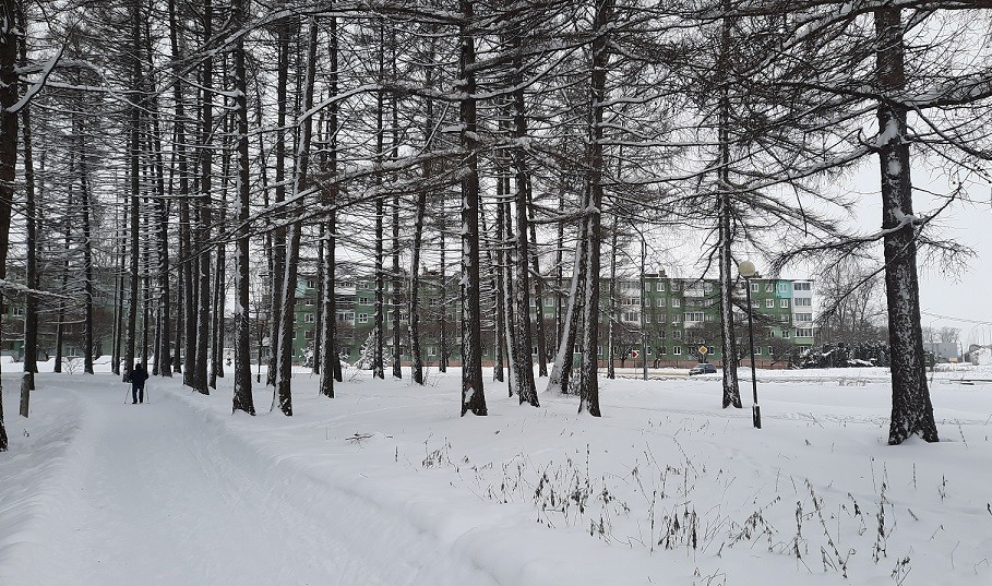 Погода в Новомосковске 16 февраля: снежно, скользко и ветрено