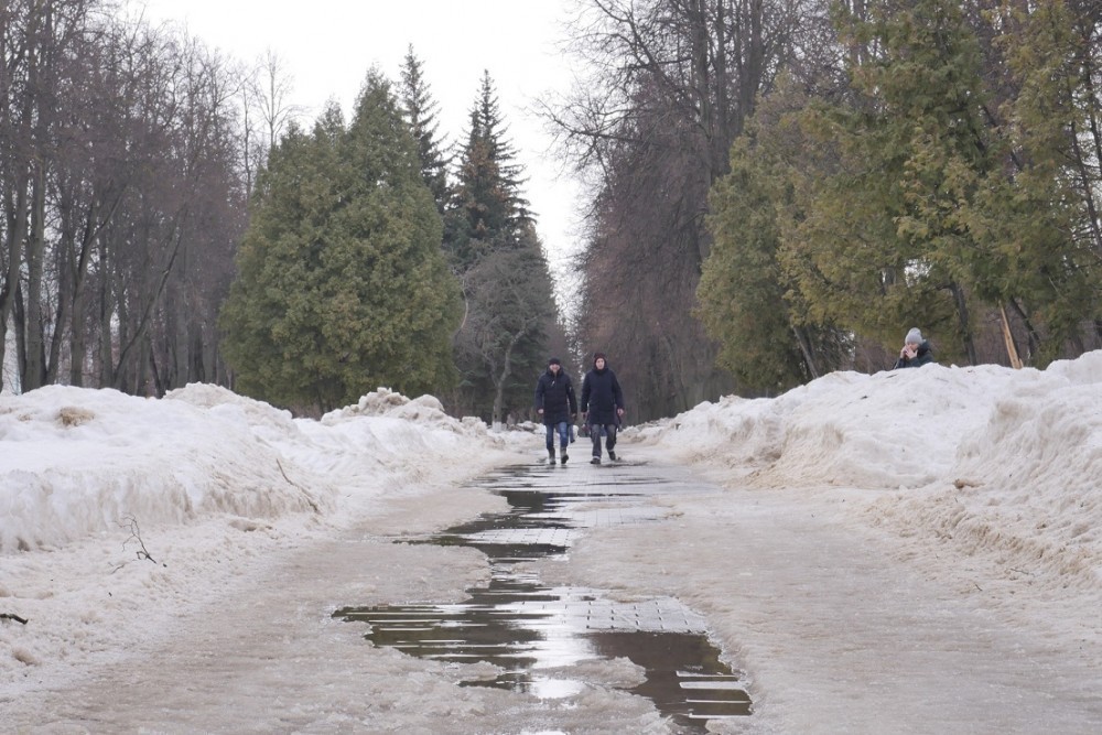Погода в Новомосковске 23 февраля: около нуля и возможен снег с дождем