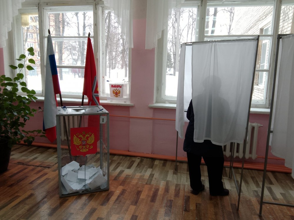 В первый день в Тульской области проголосовало 35% избирателей
