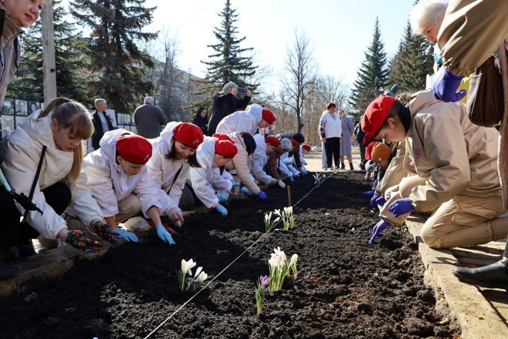 В Новомосковске высадили более тысячи цветов крокусов