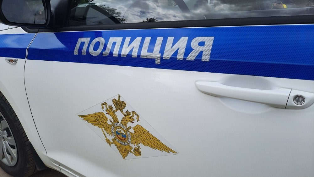 Новомосковские полицейские по камерам вычислили похитителя из магазина спортивных товаров