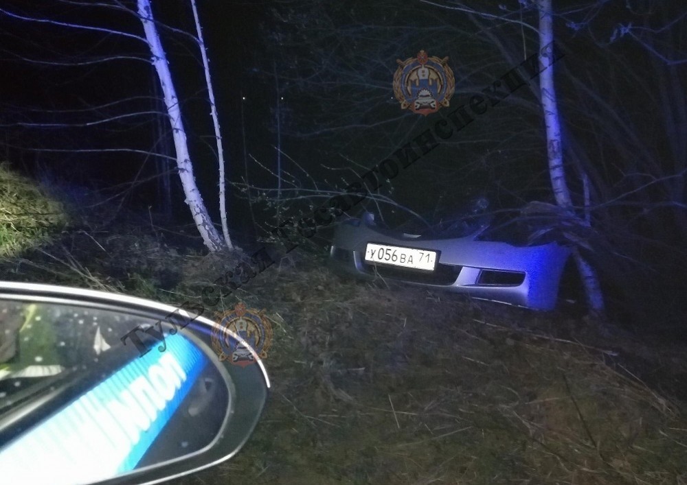 В Тульской области пьяный водитель вылетел с дороги и врезался в дерево