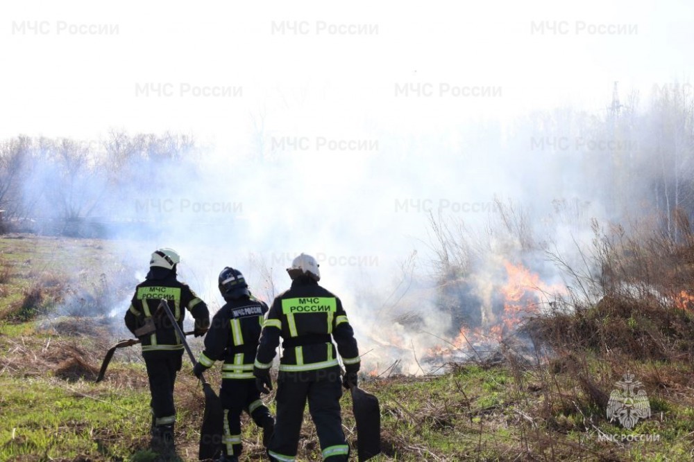 Новомосковские спасатели провели учения по тушению ландшафтных пожаров 