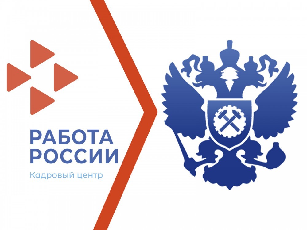 Центр занятости населения Новомосковска возобновил работу по прежнему адресу