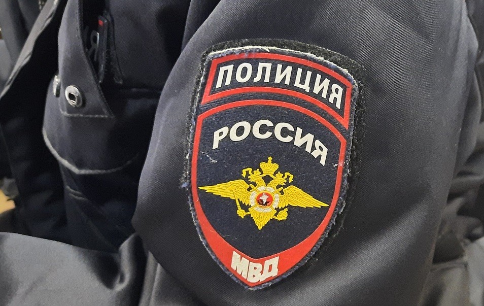 В Новомосковске полицейские задержали похитителя курток 
