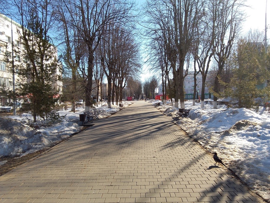 Погода в Новомосковске 28 марта: переменная облачность и до +7